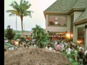 Resto Pub City - Picture #6